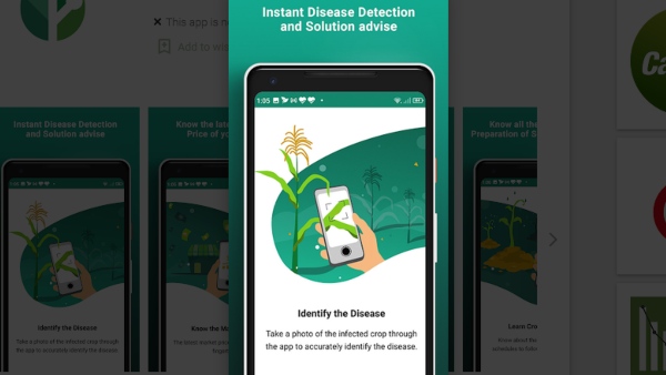 ಮಾರುಕಟ್ಟೆ ದರದ ಕುರಿತಾದ ಮಾಹಿತಿಗಳು 