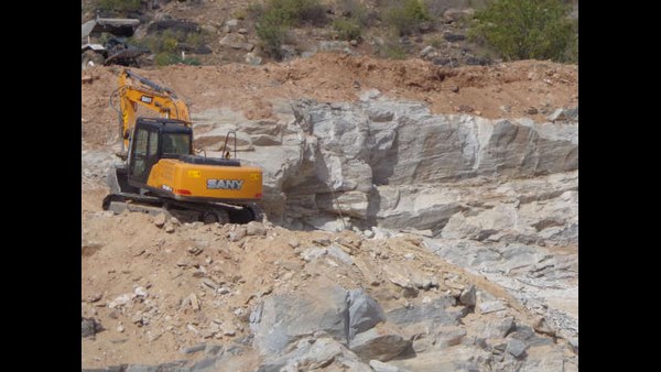 Kolar: HC Ordered For Lokayukta Probe Into Destruction Of 9,500 Trees In Tekal Village Kolar: HC Ordered For Lokayukta Probe Into Destruction Of 9,500 Trees In Tekal Village