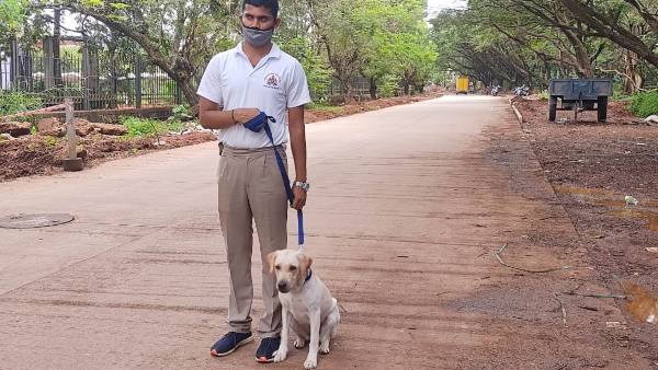  Rani A Female Dog Joined Dog Squad Of Mangaluru City Police 