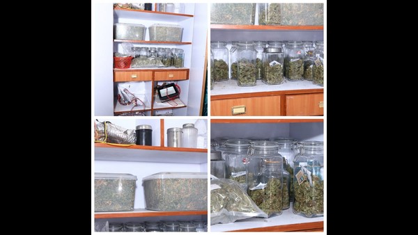 CCB Arrest 4 Persons Including 2 Iranian Who Grew Hydro Ganja In A Villa Near Bidadi