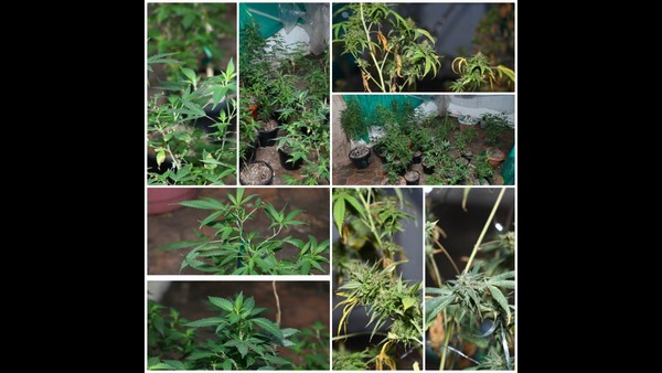 Bengaluru: Story of Iranian Drug Peddler converted to Hinduism for Marijuana