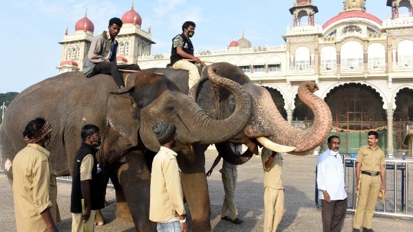 ವಿಶೇಷ ಆರೈಕೆ ಅಗತ್ಯವಾಗಿದೆ ವಿಶೇಷ ಆರೈಕೆ ಅಗತ್ಯವಾಗಿದೆ