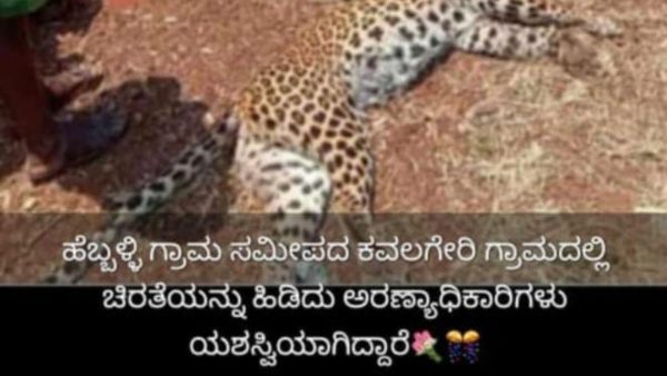 ಸೆರೆ ಸಿಕ್ಕಿದೆ ಎಂದ ಸುಳ್ಳುಸುದ್ದಿ ವೈರಲ್ 