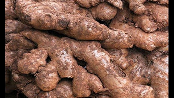  ಬೆಲೆ ಕುಸಿತದಿಂದ ಕಂಗಾಲಾದ ರೈತರು