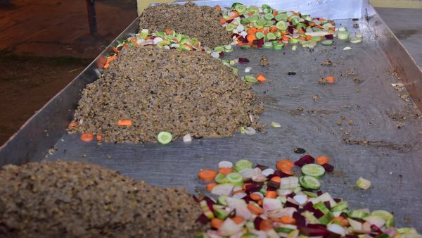 ಆನೆಗಳ ಆಹಾರಕ್ಕೆ ಹೆಚ್ಚಿನ ಖರ್ಚು