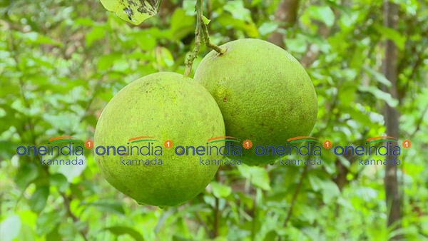  ಕೃಷಿ ಮಾಡಲು ಸವಾಲುಗಳೇ ಸಾಧನ