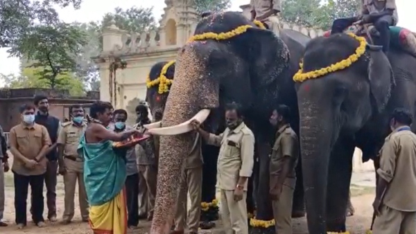  ಅರಮನೆಯಲ್ಲಿ ಆನೆಯ ರಂಪಾಟ