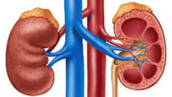  ಹೆಚ್ಚಿನ ಜನರಲ್ಲಿ ಕಾಣಿಸಿಕೊಂಡಿದೆ ಕಿಡ್ನಿ ಸಮಸ್ಯೆ