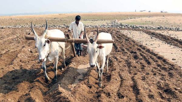 ಕೆಆರ್‌ಎಸ್ ಭರ್ತಿಗೆ 9 ಅಡಿ ನೀರು ಬೇಕು
