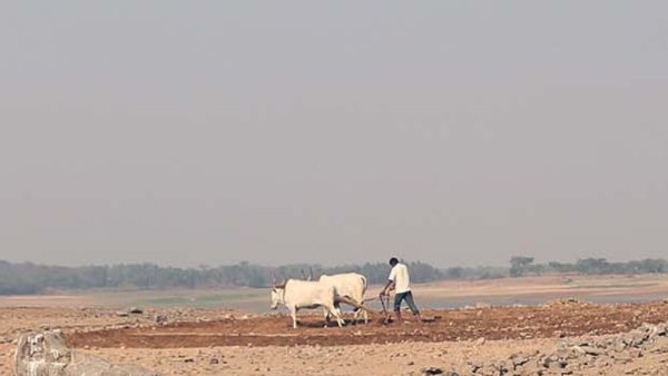 ಕೊಡಗಿನಲ್ಲಿ ಮಹಾಮಳೆ ಸುರಿಯಲಿಲ್ಲ!