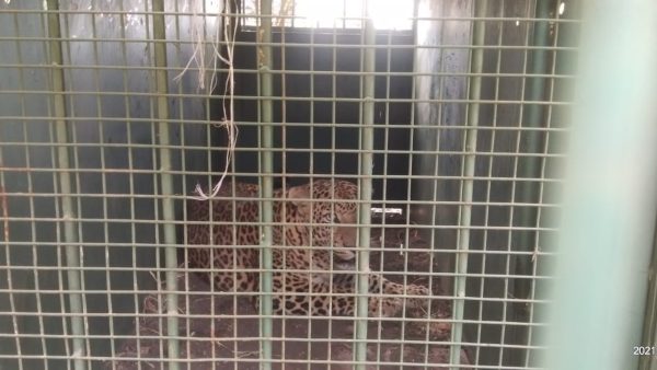 ವಿವಿಧ ಇಲಾಖೆಗಳ ಸಹಕಾರ