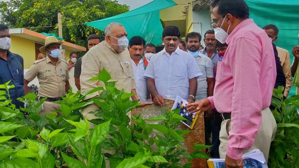 ರೇಷ್ಮೆ ಬೆಳೆ ಬಗ್ಗೆ ಮಾಹಿತಿ ಸಂಗ್ರಹ