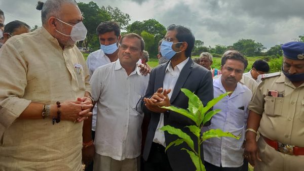 ಶ್ರೀಗಂಧ ಗಿಡಗಳ ವೀಕ್ಷಣೆ