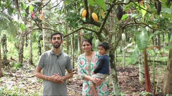 ಮಿಶ್ರ ಬೆಳೆಯಾಗಿ ಕೊಕ್ಕೊ ಬೆಳೆಯುತ್ತಾರೆ