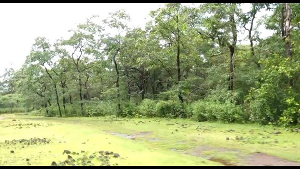  ಹುಟ್ಟೂರಿನ ದೇವಸ್ಥಾನಕ್ಕೆ ಬರುವ ರಿಷಭ್ ಶೆಟ್ಟಿ