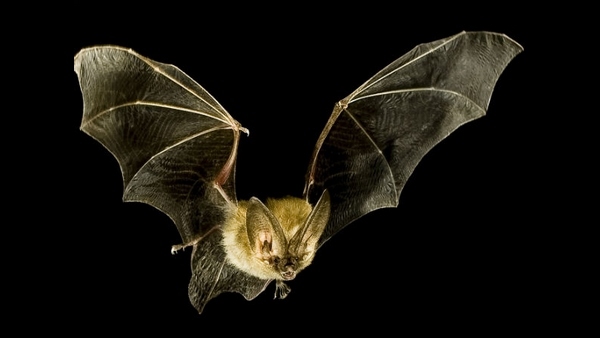 ಎಚ್ಚರಿಕೆಯಿಂದಿರಿ ಎಚ್ಚರಿಕೆಯಿಂದಿರಿ