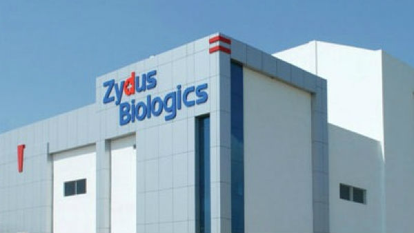 ZyCoV D To Be Introduced In Covid Vaccine Drive Shortly Says Centre