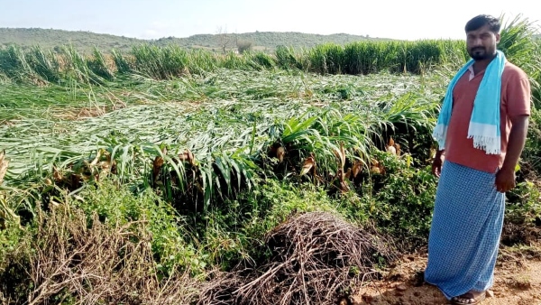 Heavy Rain Lashes In Davangere; People Who Have Suffered Hardship In Whole Night