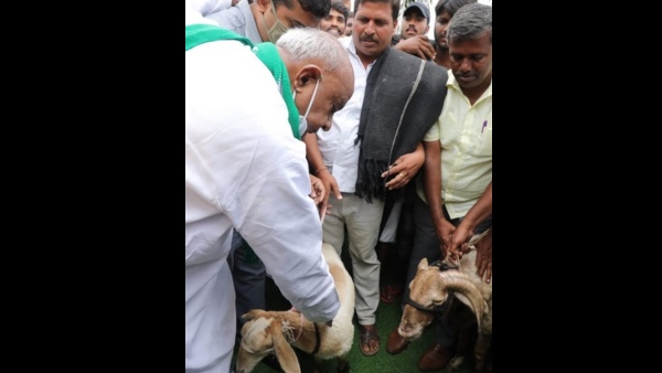 ಹಾನಗಲ್‌ನಲ್ಲೂ ಜೆಡಿಎಸ್ ಅಭ್ಯರ್ಥಿ ನಿರ್ಣಾಯಕ! 