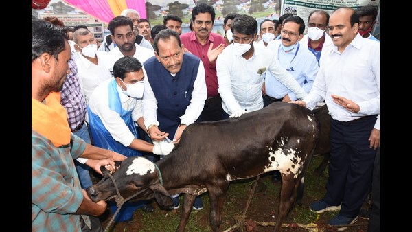 ಶೀಘ್ರದಲ್ಲಿ ಸೇವೆಗೆ ಪಶು ಚಿಕಿತ್ಸಾ ವಾಹನಗಳು!