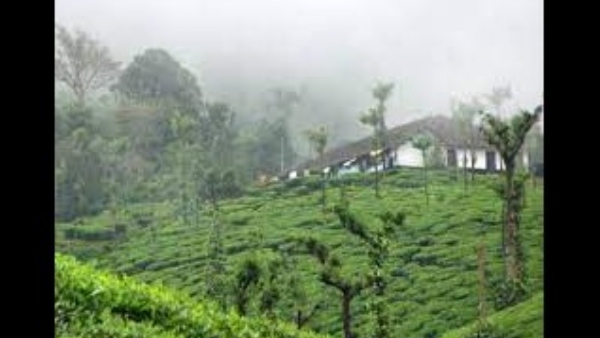 ಅನಧಿಕೃತ ಹೋಂಸ್ಟೇಗೆ ಬೀಗ ಹಾಕುವ ಕೆಲಸವಾಗಲಿ ಅನಧಿಕೃತ ಹೋಂಸ್ಟೇಗೆ ಬೀಗ ಹಾಕುವ ಕೆಲಸವಾಗಲಿ