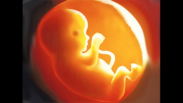 ಗರ್ಭಪಾತದ ಕುರಿತು ರಾಜ್ಯ ಮಟ್ಟದ ಮಂಡಳಿ ನಿರ್ಧಾರ 