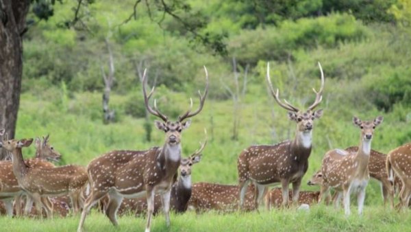 ಗಣತಿಯಲ್ಲಿ ಮಾಸ್ಟರ್ ತರಬೇತುದಾರರು