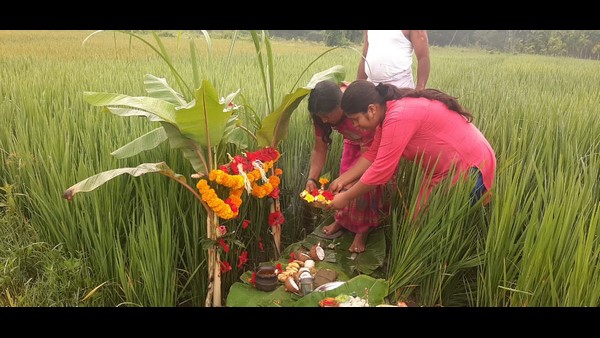  ಕಾಗೆ, ಇಲಿಗಳಿಗೆ ಎಡೆ