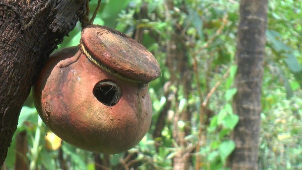 ಪಕ್ಷಿಗಳಿಗೆ ಸಂತಾನೋತ್ಪತ್ತಿ ಮಾಡುವುದಕ್ಕೆ ಅವಕಾಶ