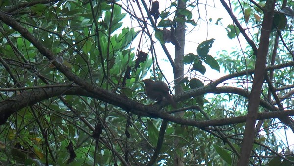 ಮಣ್ಣಿನ ಪಾತ್ರೆಯಲ್ಲಿ ನೀರು, ಆಹಾರ
