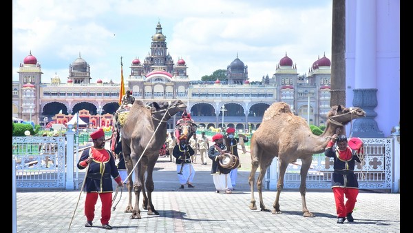 ವಿಕ್ರಮನಿಗೆ ಮದ, ಧನಂಜಯನಿಗೆ ಪಟ್ಟ ವಿಕ್ರಮನಿಗೆ ಮದ, ಧನಂಜಯನಿಗೆ ಪಟ್ಟ