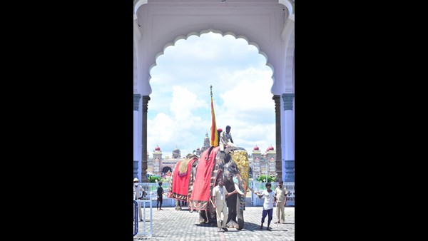 ಡಿಸಿಎಫ್ ಡಾ.ವಿ. ಕರಿಕಾಳನ್ ಹೇಳಿದ್ದೇನು? ಡಿಸಿಎಫ್ ಡಾ.ವಿ. ಕರಿಕಾಳನ್ ಹೇಳಿದ್ದೇನು?