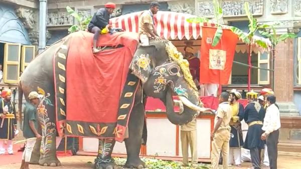  750 ಕೆ.ಜಿ ತೂಕದ ಚಿನ್ನದ ಅಂಬಾರಿ ಹೊರಲಿರುವ ಅಭಿಮನ್ಯು