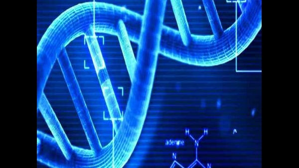 Supreme Court Says Cant Force Anyone For DNA Test Supreme Court Says Cant Force Anyone For DNA Test