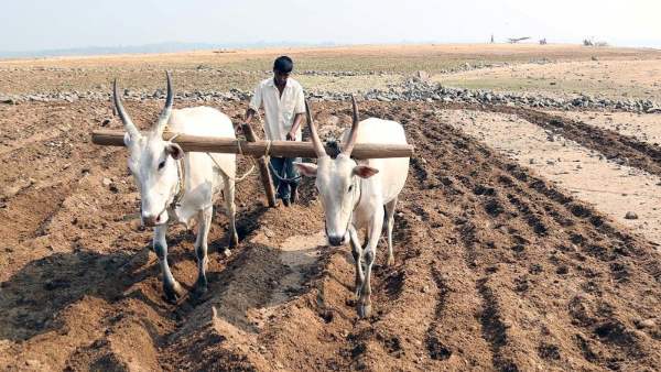 ಜಲಾಶಯ ಭರ್ತಿಗಾಗಿ ಜನರ ಪ್ರಾರ್ಥನೆ
