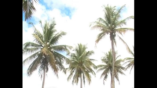  ಮಾನಸಿಕ ಹಿಂಸೆ ಕೊಡುತ್ತಿದ್ದಾರೆ