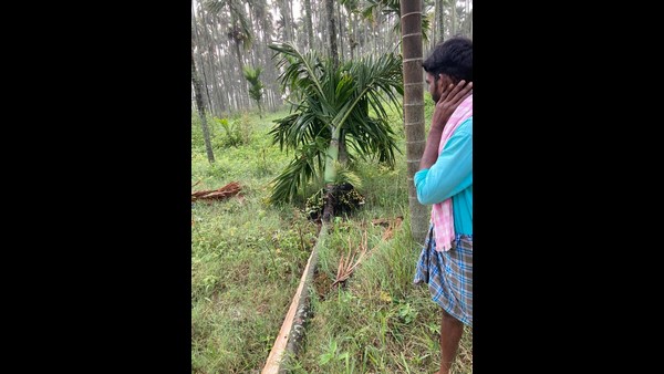  ಸಂತ್ರಸ್ತರಿಗೆ ಪರಿಹಾರ ವಿತರಿಸಲು ಕ್ರಮ