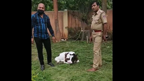 ಅರು ತಿಂಗಳ ಹಿಂದಷ್ಟೇ ಬೆಂಗಳೂರಿಗೆ ವರ್ಗಾವಣೆ