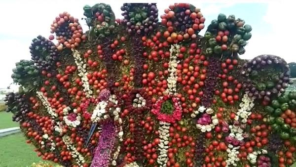 ವಿಶೇಷ ಕಿಟ್ ವಿತರಣೆ ವಿಶೇಷ ಕಿಟ್ ವಿತರಣೆ