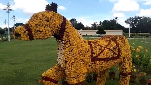 ಗಜಪಡೆಗೆ ಮಹಾಮಜ್ಜನ ಗಜಪಡೆಗೆ ಮಹಾಮಜ್ಜನ