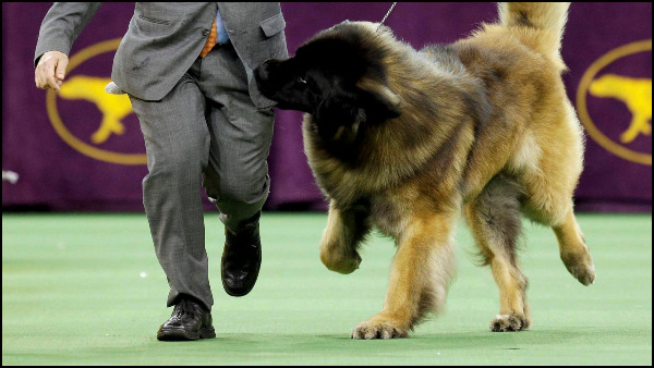 ಮಾಲೀಕರಿಗೆ ಅನ್ವಯವಾಗುವ ಎಲ್ಲಾ ಕಾನೂನು