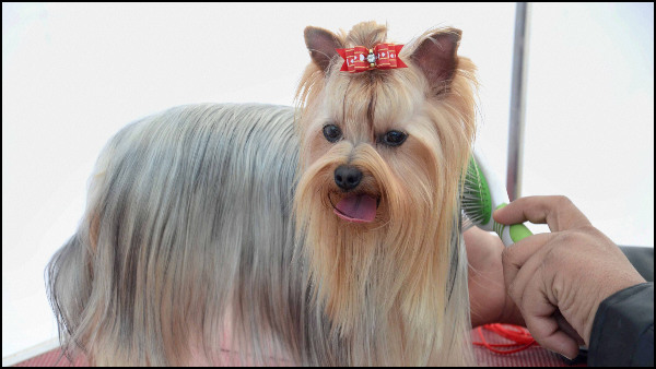 ಆರೋಗ್ಯ ವೃದ್ಧಿಗೆ ಪೂರಕವಾಗುವುದಿಲ್ಲ