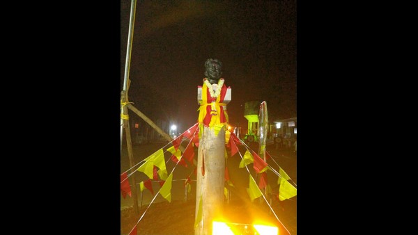 Chikkamagaluru: Thieves Stolen Cows Belonging To Elderly Woman