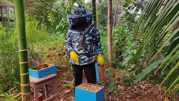 Heavy Demand For Bee Poison: Mangaluru Youth Successful In Poison Collection