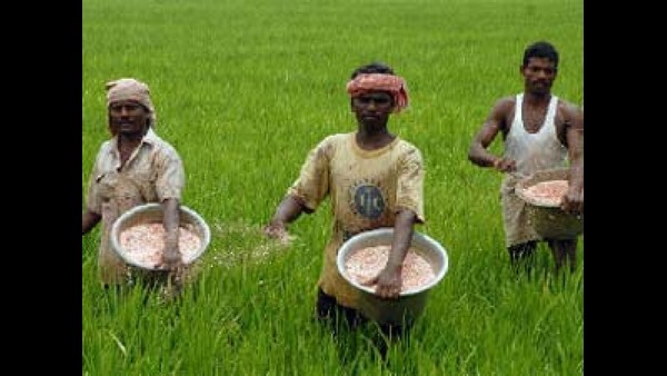  ಎರೆ ಎಂದರೆ ಮಣ್ಣು, ದೊರೆ ಎಂದರೆ ರಾಜ. ಹಾಗಾಗಿ ಅನ್ನದಾತರ ಭವಿಷ್ಯವಾಣಿ