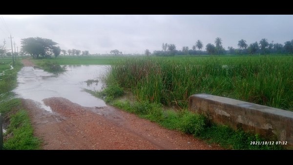  ಕಮಲಾಪುರ ಗ್ರಾಮದ ಶಾಲೆಯಲ್ಲಿ ಗಂಜಿ‌ಕೇಂದ್ರ ಆರಂಭ