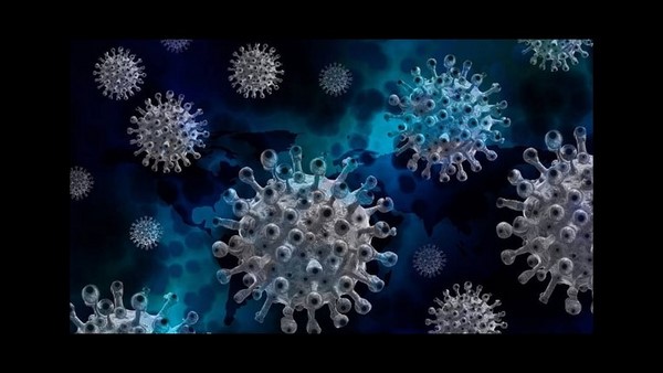 ಎರಡು ಡೆಲ್ಟಾ ರೂಪಾಂತರ ವೈರಸ್ ನಡುವಿನ ಅಂತರ 