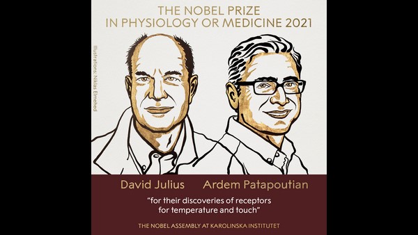 US Duo David Julius And Ardem Patapoutian Win 2021 Nobel Prize In Medicine US Duo David Julius And Ardem Patapoutian Win 2021 Nobel Prize In Medicine
