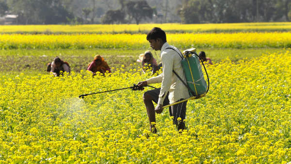 Department of Agriculture Instructions To Farmers On Safe Use Of Pesticides