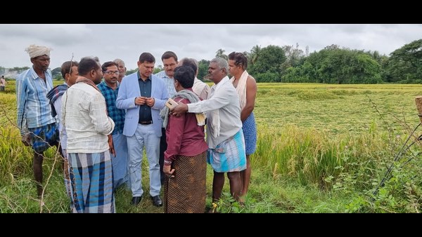 Deputy Commissioner Inspected Crop Damage Due To Rain 